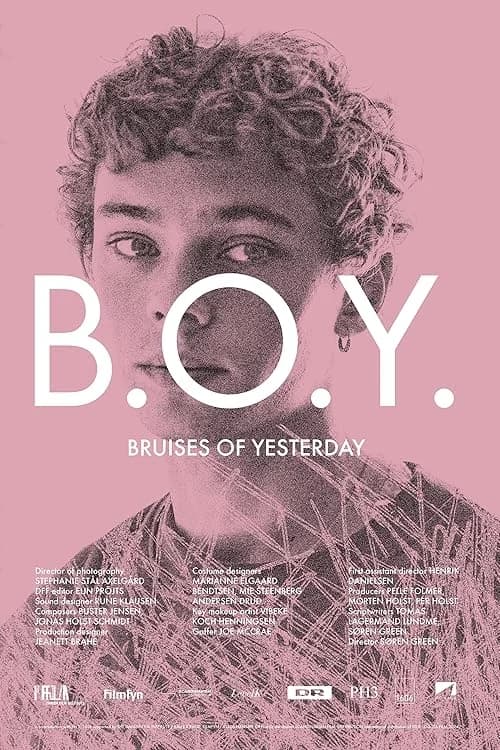 B.O.Y.: Bruises of Yesterday film posteri