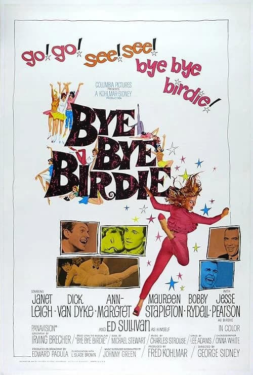 Bye Bye Birdie film posteri